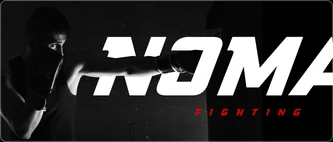 Nomad Fighting — visual 4