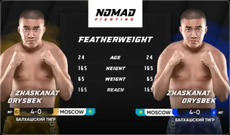 Nomad Fighting — visual 24