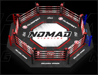 Nomad Fighting — visual 21